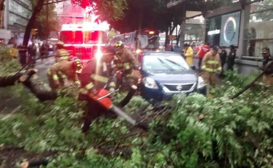 Tomada de @Raul_Esquivel_C