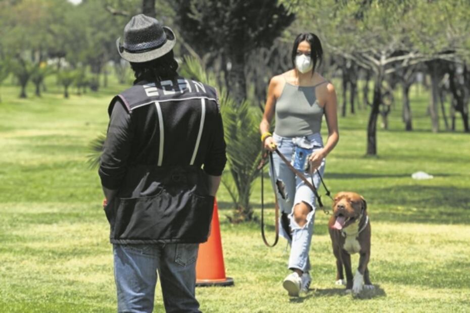 Adiestramiento canino: el hobby que lo salva en pandemia