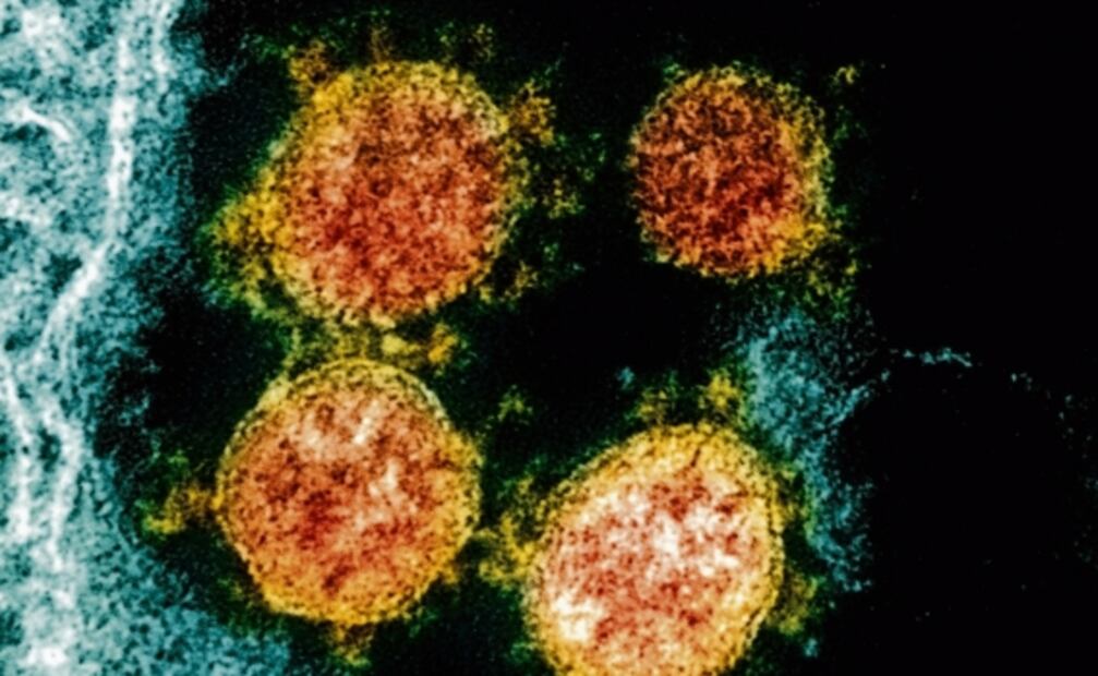 Expertos revelan todo lo que se sabe acerca de la nueva mutación doble del SARS-CoV-2