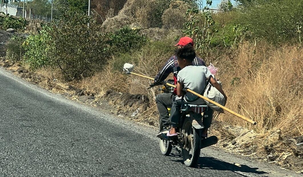 limoneros temen a los campos minados
