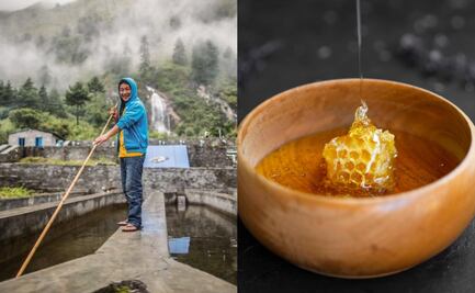 ¿Qué se celebra hoy, 6 de agosto?; conoce las efemérides de este miércoles  