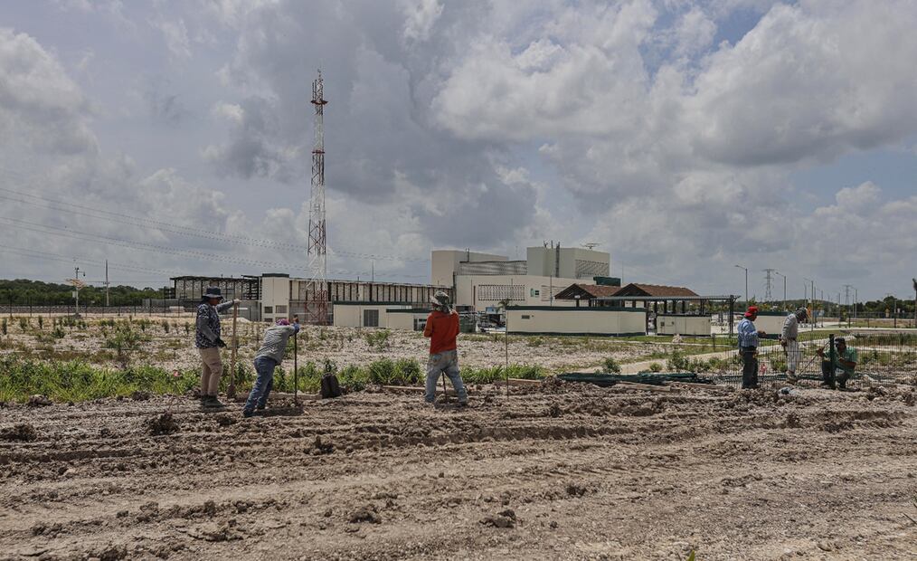 Personal castrense y albañiles fueron capacitados para realizar el proceso que incluye hacer los acabados finos a los basamentos mayas, bajo la supervisión de tres especialistas y siguiendo todos los protocolos de conservación, de acuerdo con Pérez Rivas, el 3 de julio de 2025. Foto: Gabriel Pano/EL UNIVERSAL