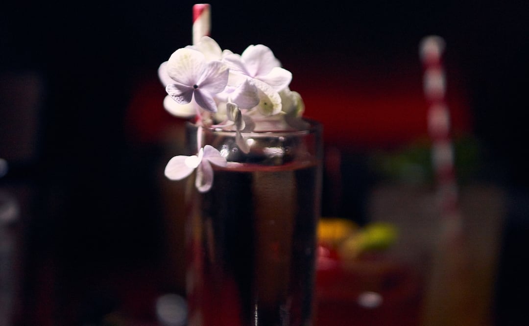 Carmín, un nuevo bar de autor en Coyoacán. Foto: cortesía