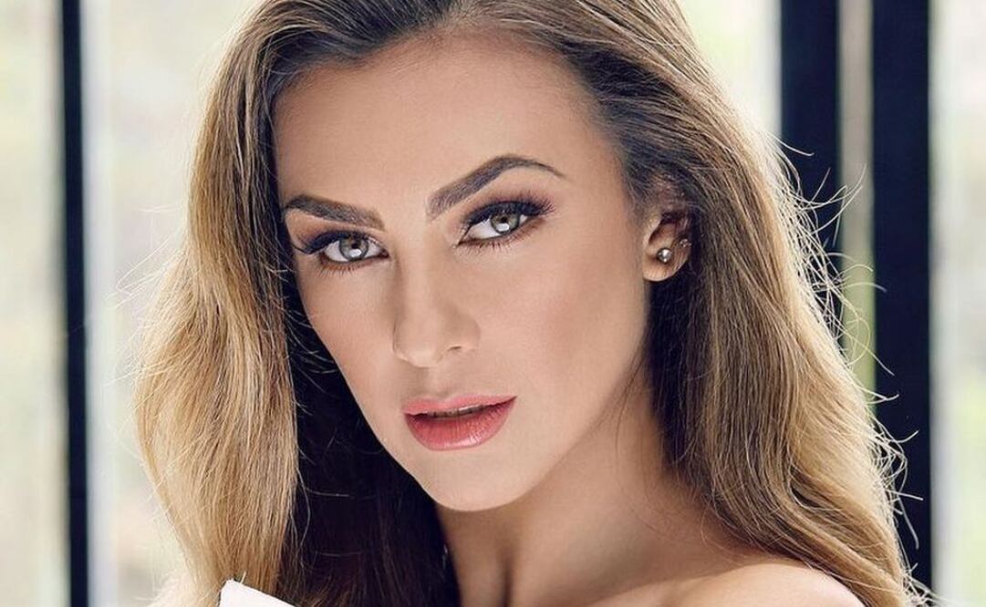 Aracely Arámbula y uno de sus vestidos más elegantes. Fuente: Instagram @aracelyfans_armenia