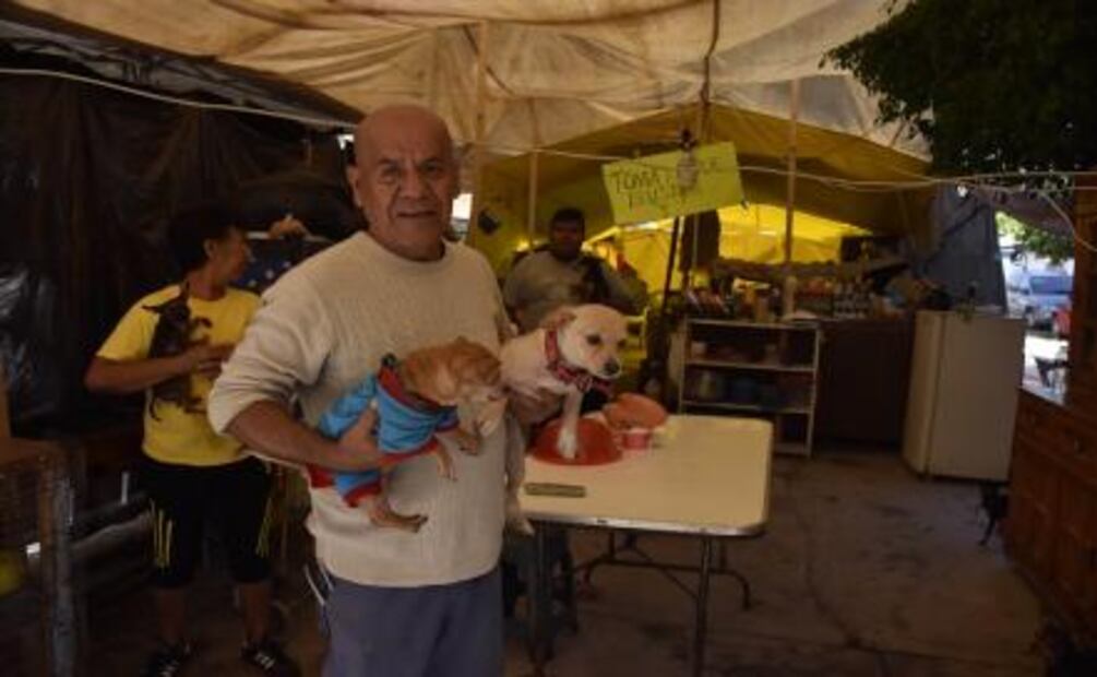 El hombre que vive en la calle con 23 perros 