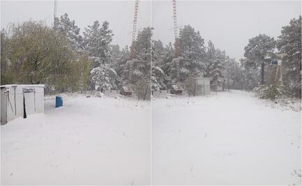 Tormenta invernal impacta Chihuahua; nevadas, vientos y daños en servicios básicos