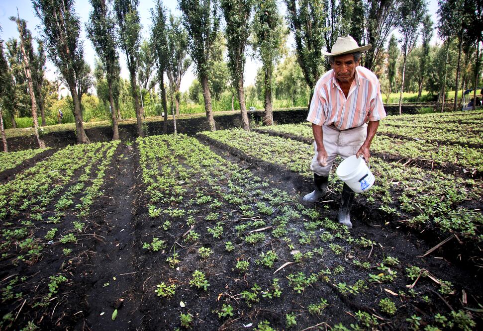 Fotografía: Archivo/ EL UNIVERSAL