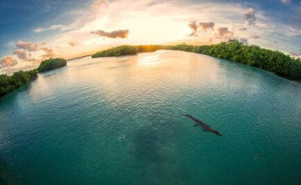 11 cosas que no sabías sobre la Reserva de la Biósfera de Sian Ka'an