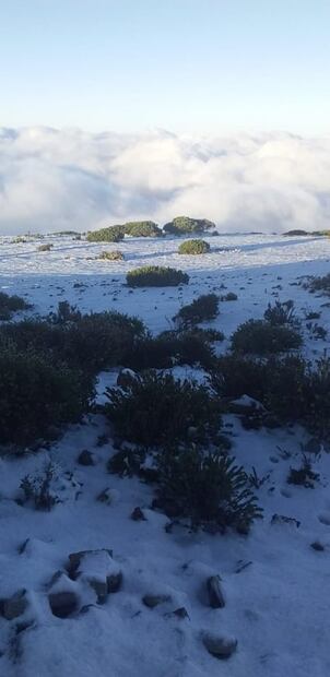 Primera nevada deja capa de 7 a 9 centímetros en Galeana, Nuevo León: FOTOS