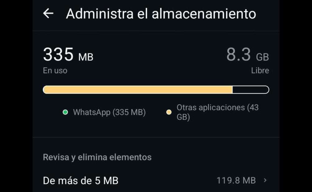 Revisa la papelera de WhatsApp una vez al mes. Foto: Captura de pantalla
