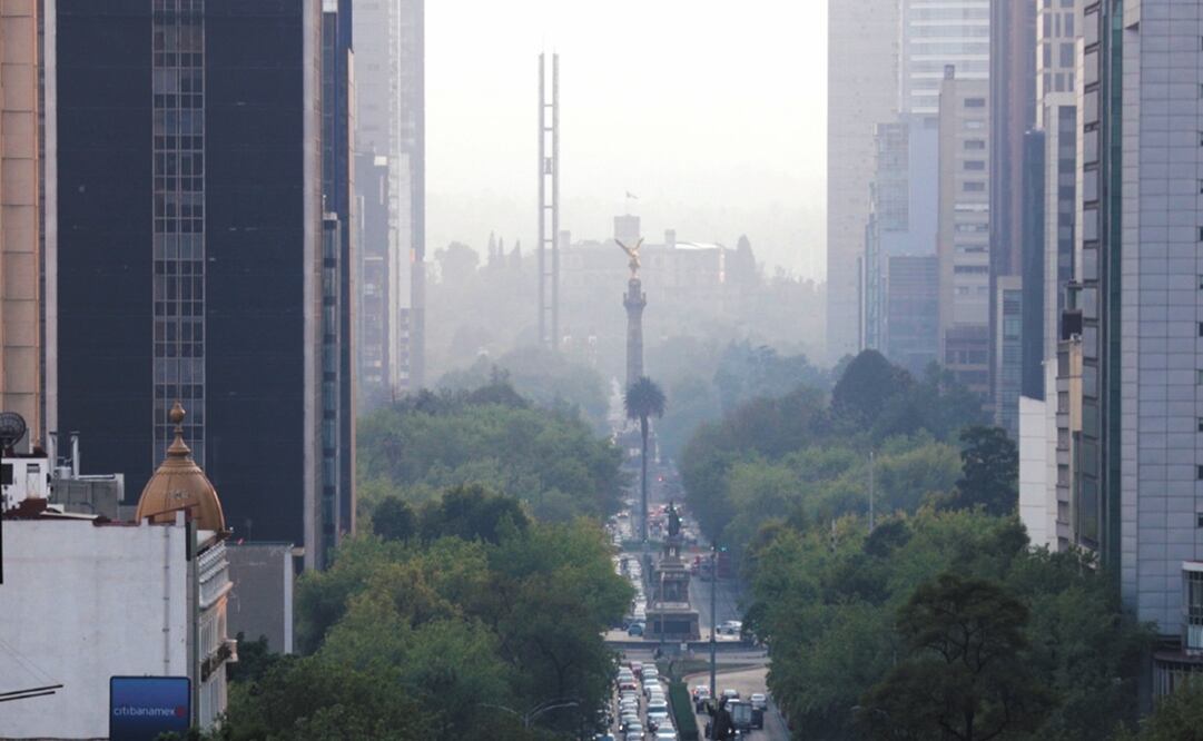 Foto: Especial/Archivo/La Ciudad de México en contingencia ambiental