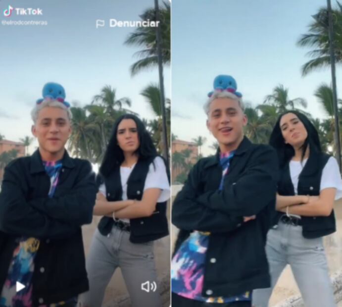 TikTok: descarga videos sin marca de agua