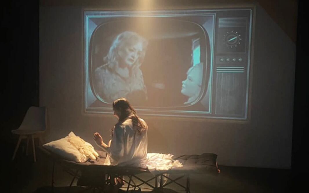 Obra "Blanca y Virginia".
Fotos: Facebook Paulina Vega / Mely Pablos Badilla