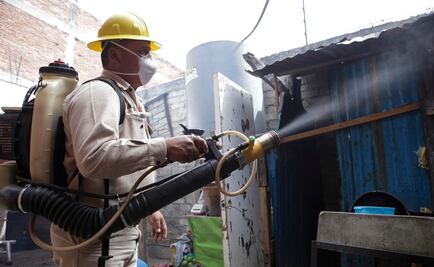 Fumigadores reciben ahora más llamadas por chinches que por cucarachas