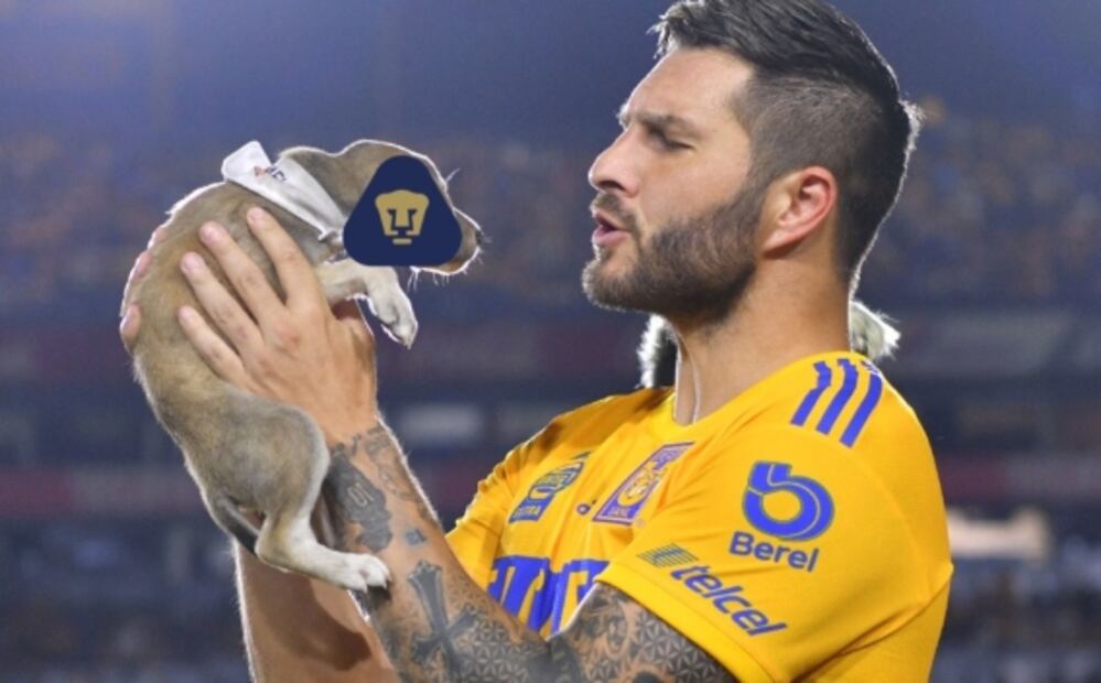Los mejores memes de Pumas y su empate agónico ante Tigres