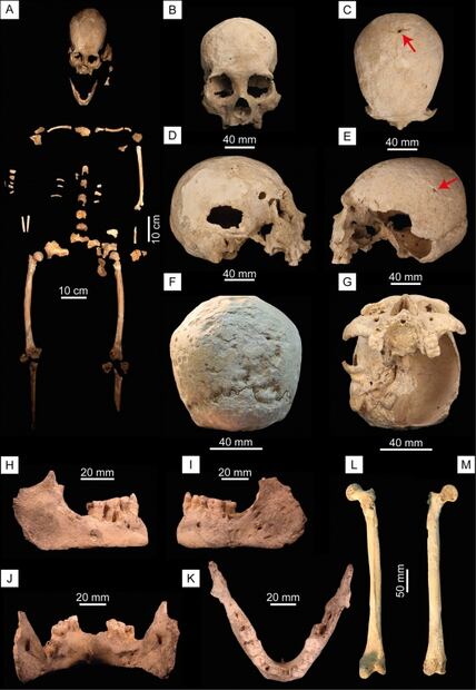 Prehistoric skeleton found in Mexico questions everything we know about the early settlement of the Americas