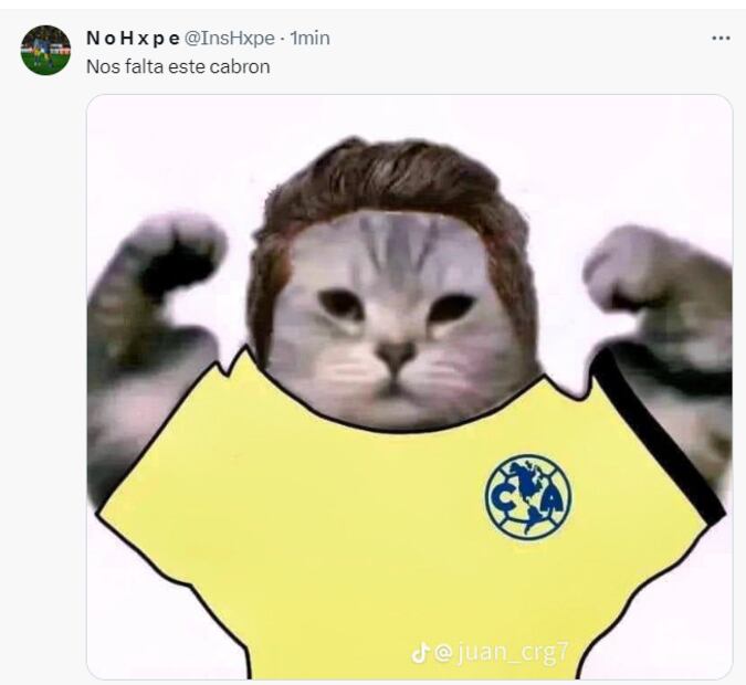 Los mejores memes del campeonato de América