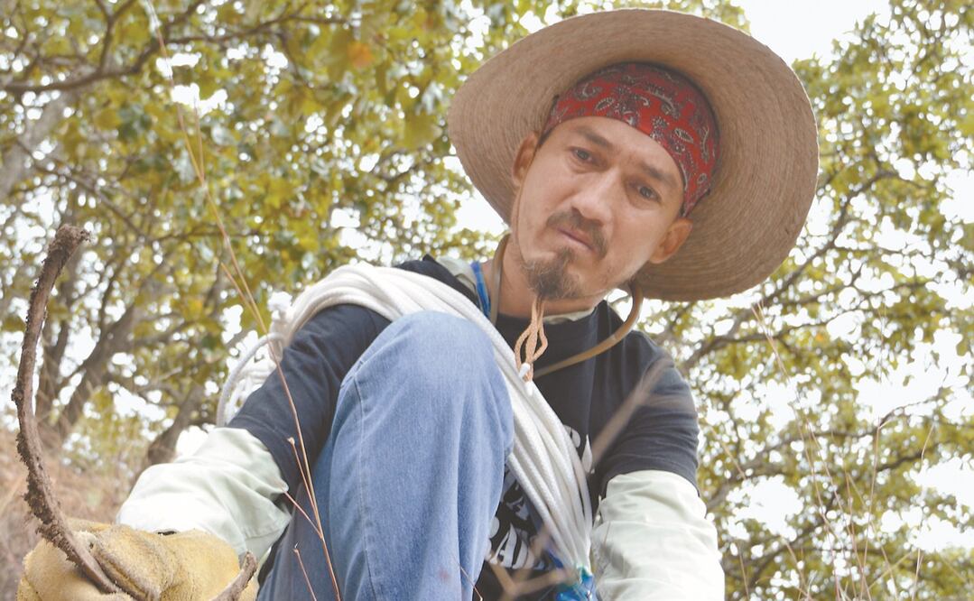 buscador Mario Vergara