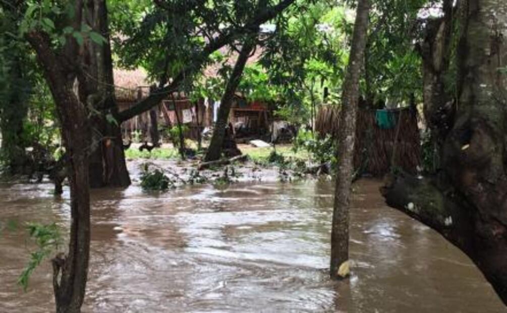 Anegaciones por lluvia afectan a 220 familias en Tuxtepec, Oaxaca
