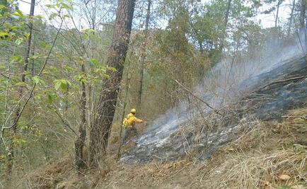 Controlan incendio en Parque Nacional de Monterrey