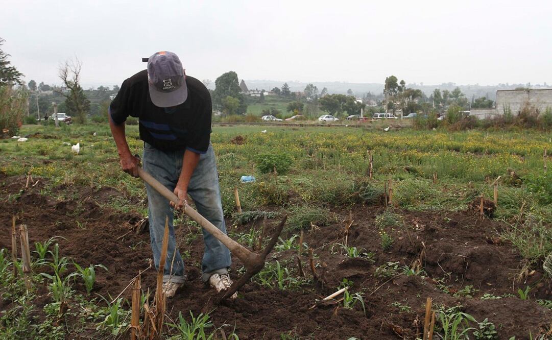 Foto: Archivo El Universal