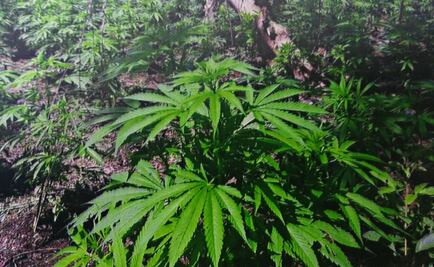 En 2017 aseguraron 234 mil litros de "huachicol" en Tamaulipas