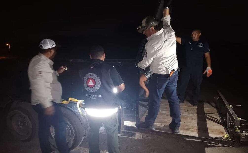 Tigre escapa de zoológico y ataca granja de cerdos en Reynosa; autoridades intensifican búsqueda. Foto: Especial