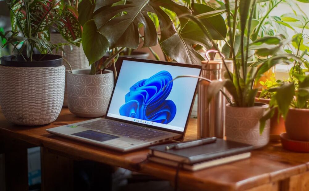 Actualización, clave para la seguridad y continuidad empresarial. Imagen: Unsplash