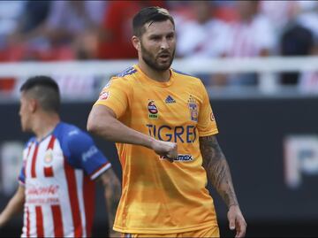 Así fue la pelea entre Gignac y Tomás Boy