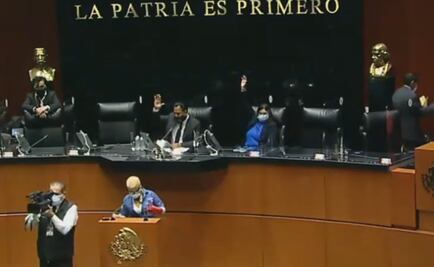 Senado avala sesiones virtuales durante el tiempo que dure la emergencia por Covid-19