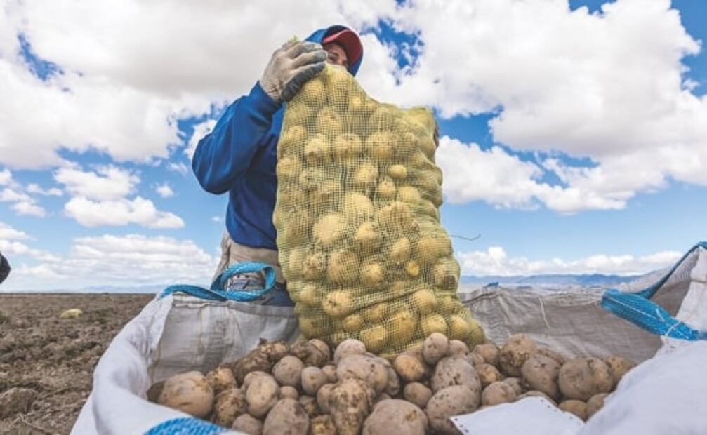 PepsiCo se compromete a promover la seguridad alimentaria para 50 millones de personas en 2030