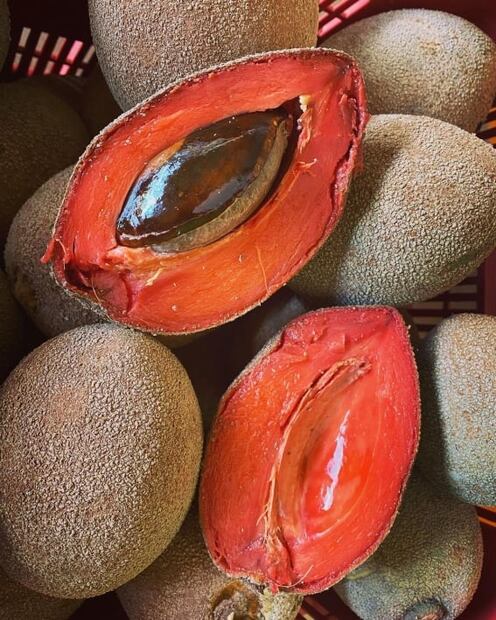 El mamey y sus beneficios para tu salud. Foto: @huertasmagana
