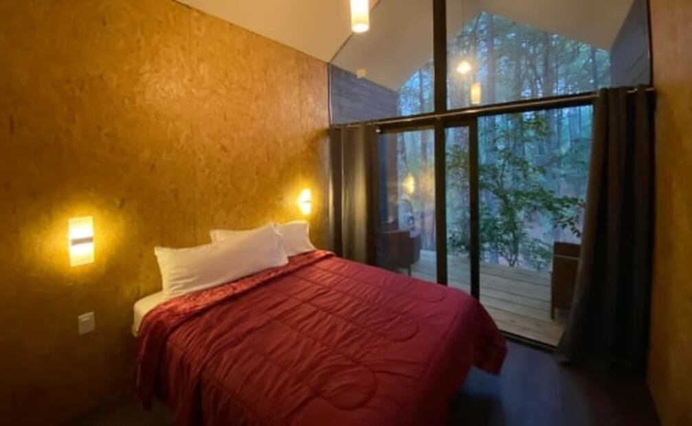 BosqueCielo, las nuevas cabañas con techo de cristal en Hidalgo