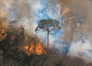Amazonía está en peor peligro que hace 2 años