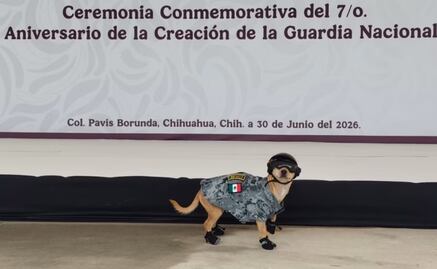 Guardia Nacional de Chihuahua adopta a "Comando"; el perrito usa uniforme, lentes y zapatos oficiales