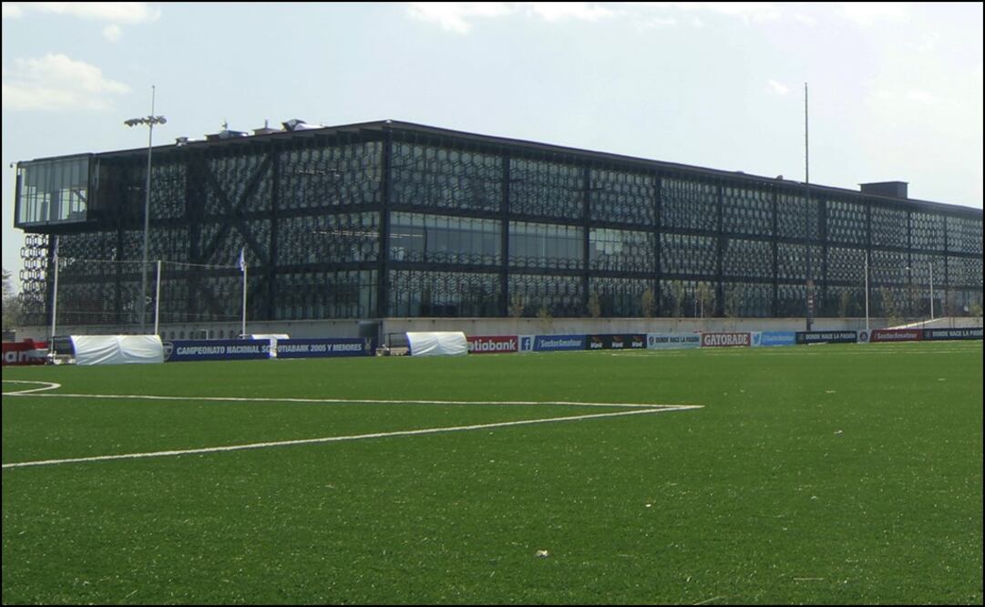 Limpieza en la Federación