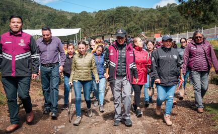 Inicia reforestación 2025 en Tlalpan; plantan 2 mil pinos en el Ejido Magdalena Petlacalco