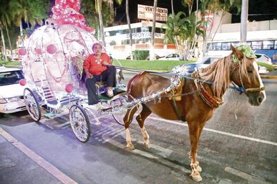 Exigen que caballos dejen de arrastrar calandrias