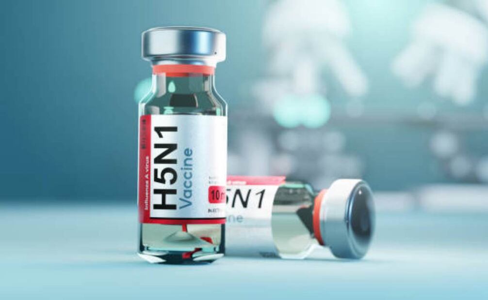 Las muestras de sangre a los veterinarios bovinos cubrió 46 estados e incluso Canadá durante el brote actual de H5N1 en vacas lecheras y aves de corral. Foto: IStock