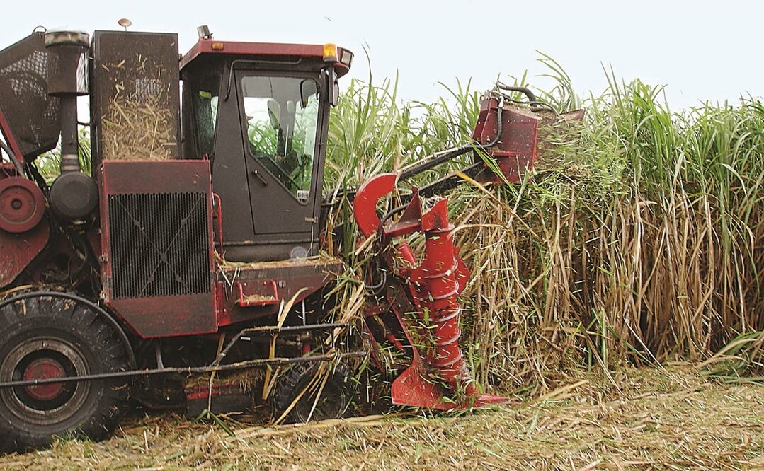 Foto: Archivo/ El Universal 