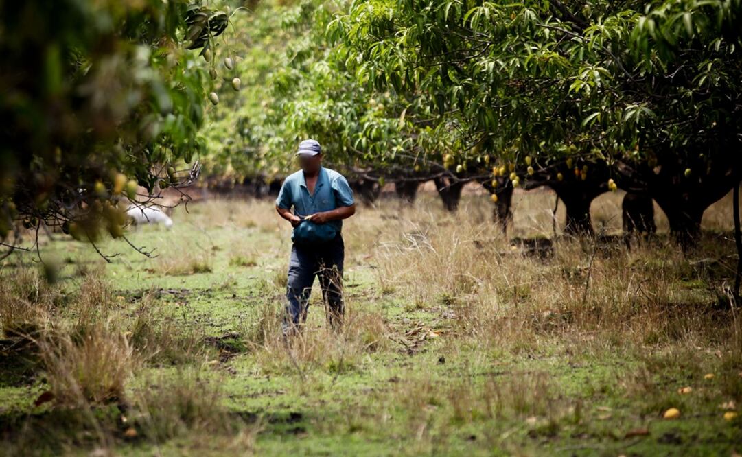 (Foto: Archivo/ELUNIVERSAL)