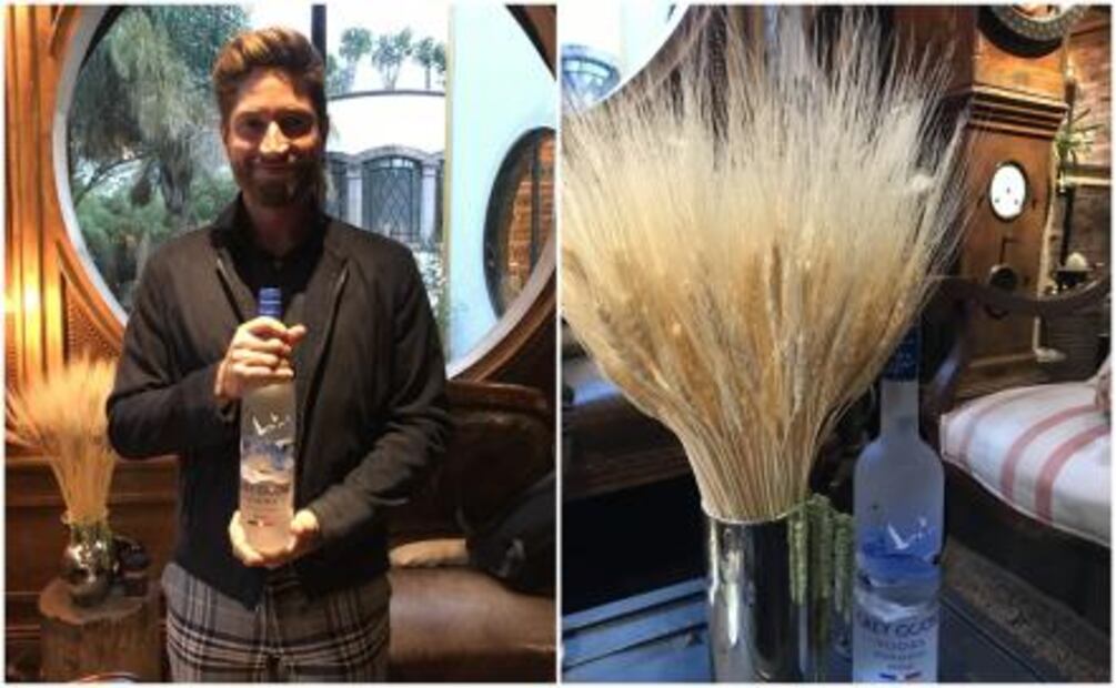 Lo que necesitas saber sobre el vodka