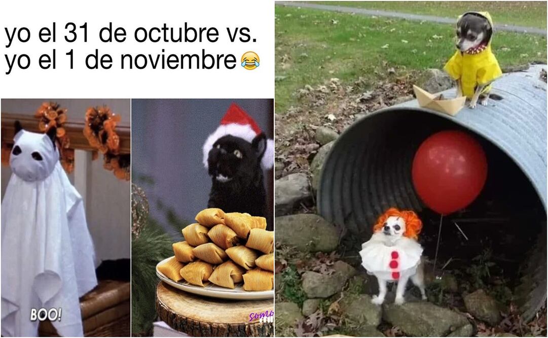 Los memes de Halloween 2024 prometen sacar más de una risa y, por qué no, un buen susto. Foto: X