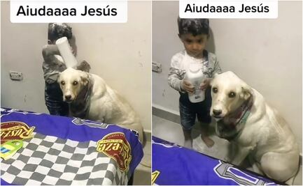 VIDEO: Niño se vuelve viral en TikTok por vaciar talco sobre su perrita