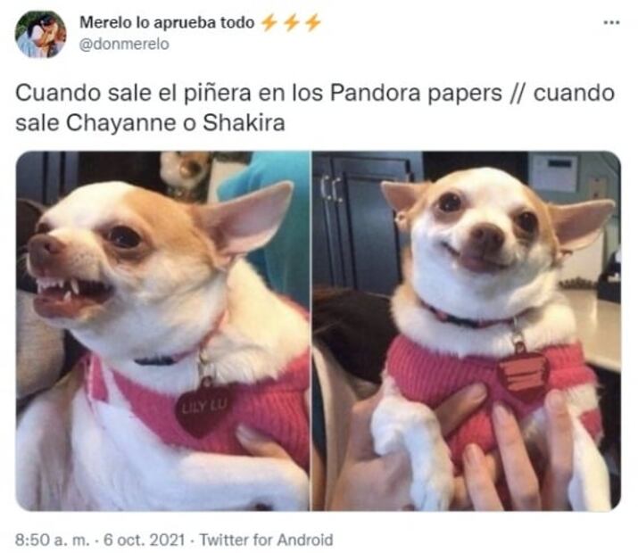 Fans de Chayanne reaccionan con memes a su aparición en los Pandora Papers