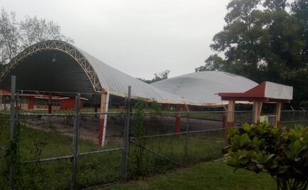 Fuertes vientos dejan árboles caídos y cortes de energía en Veracruz