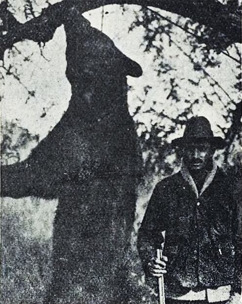 Los cazadores de ayer y hoy