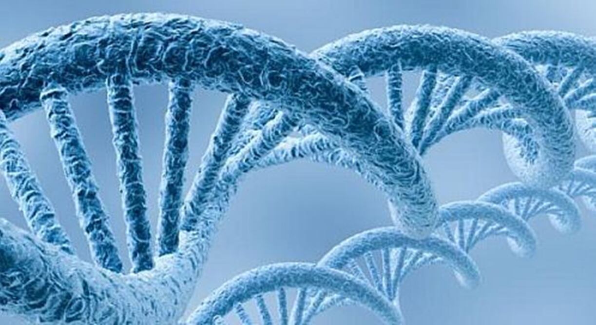 Foto: Archivo/ELUNIVERSAL