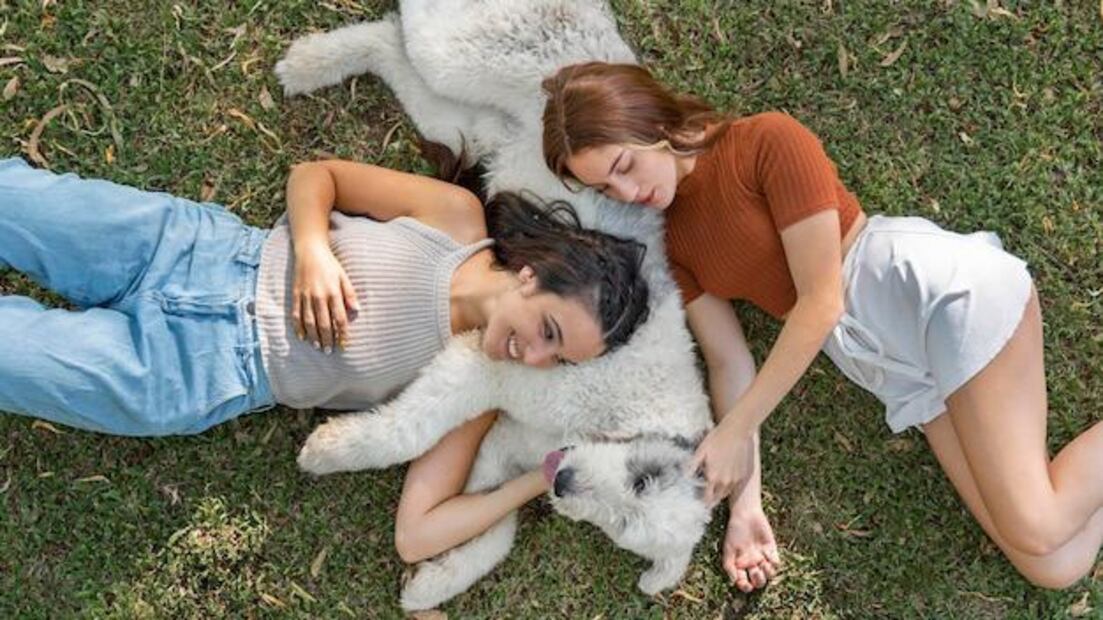 El simple acto de abrazar a un perro puede mejorar la salud mental. Fuente: Freepik.