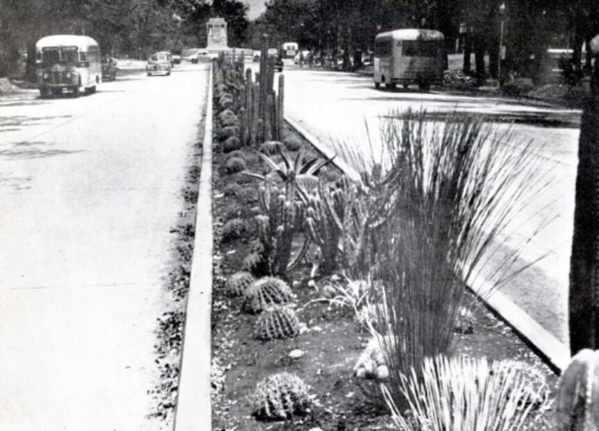 Seis películas mexicanas donde la capital es el gran escenario